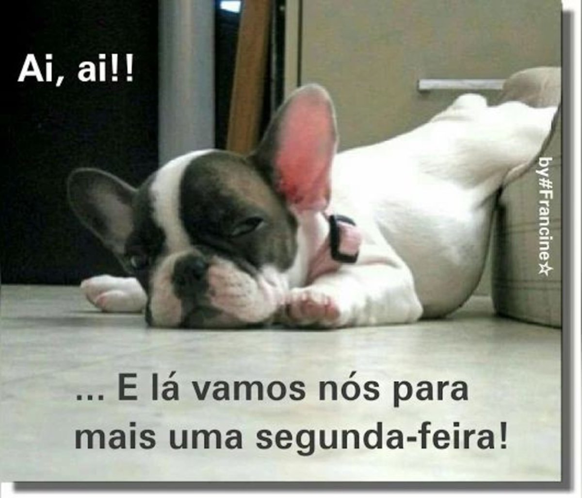 Утро понедельника собака