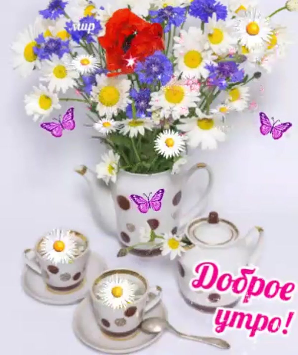 С добрым утром понедельника креативные