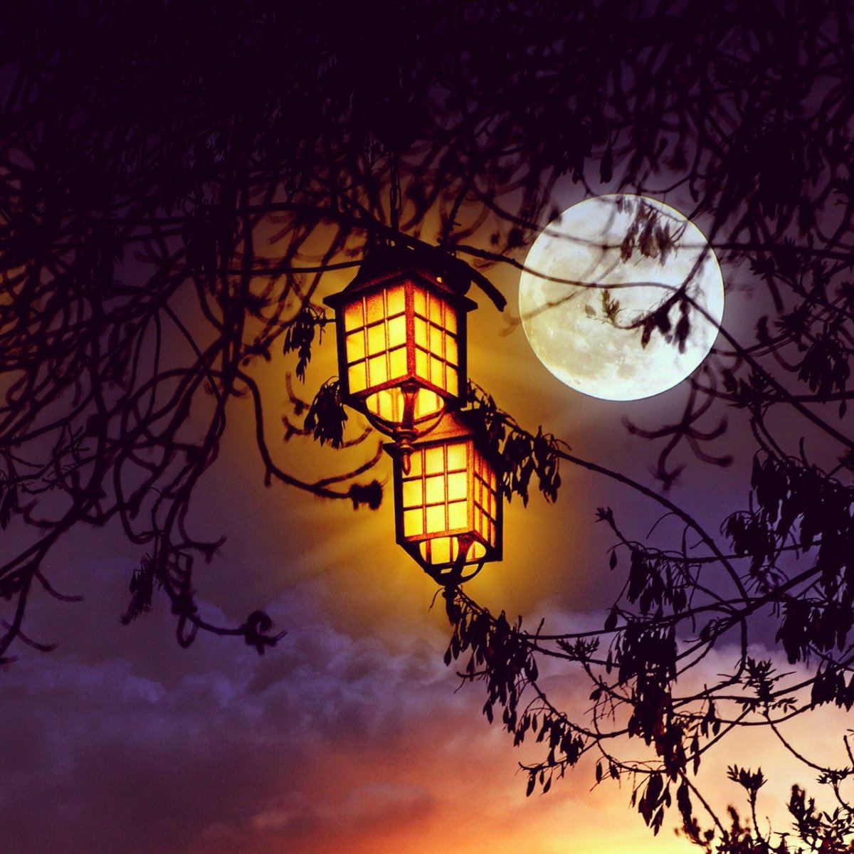 Фонарик в ночи