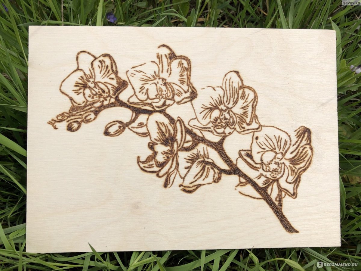 Красивые рисунки для выжигания