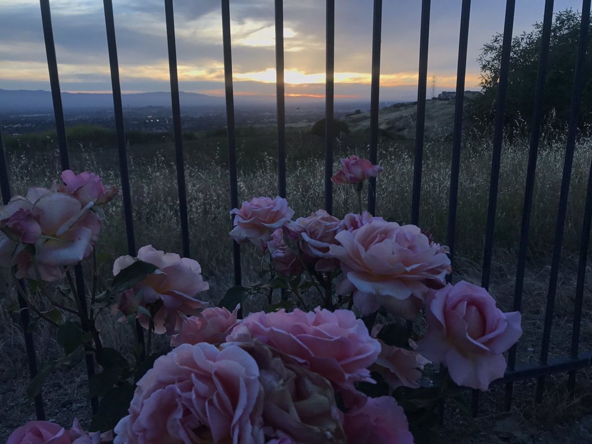 Morute Эстетика