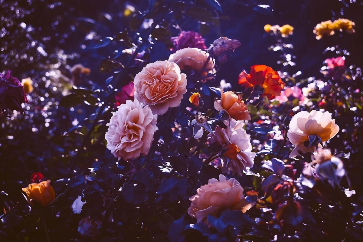 Цветочная Эстетика