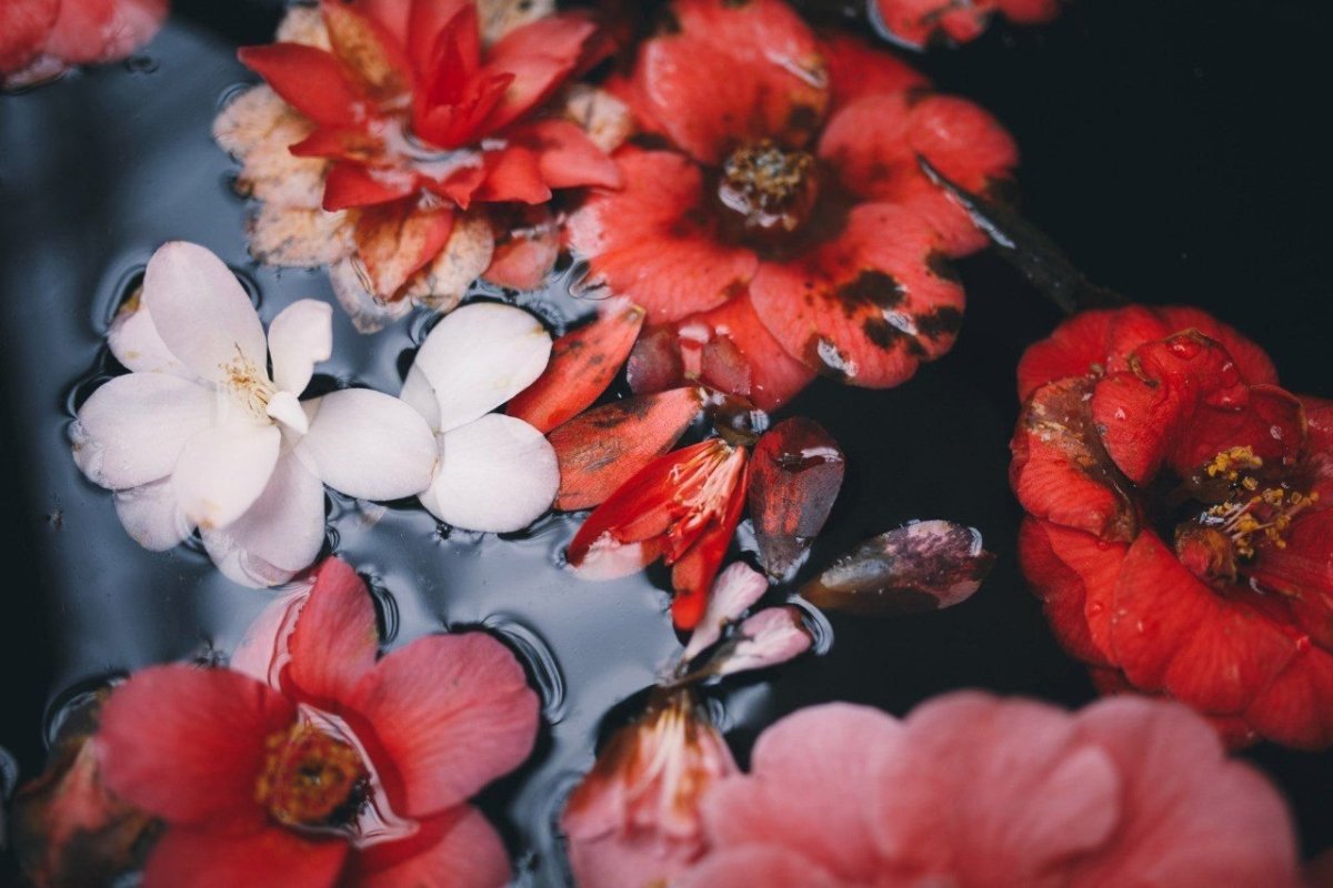 Цветочки Эстетика