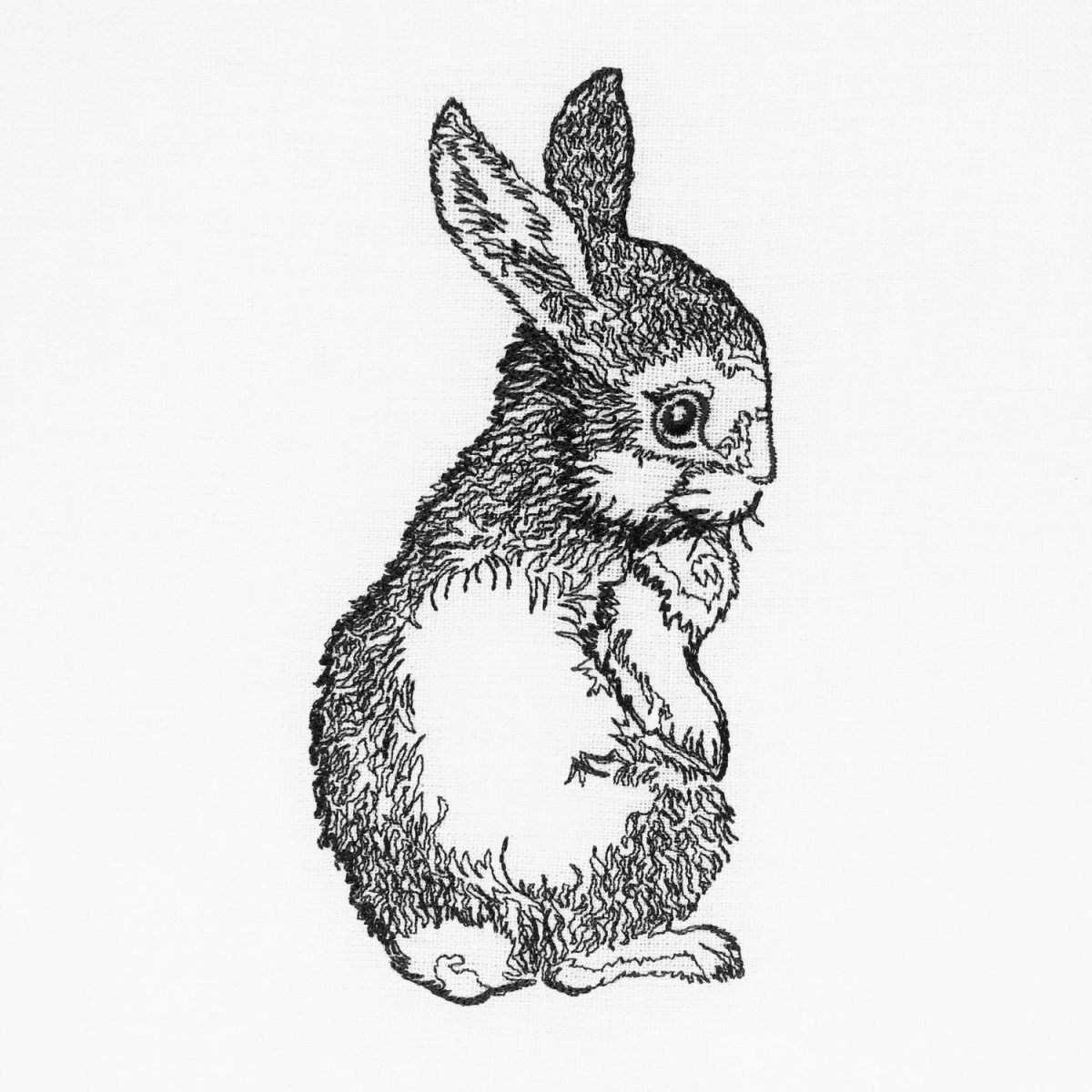 Заяц черно белый