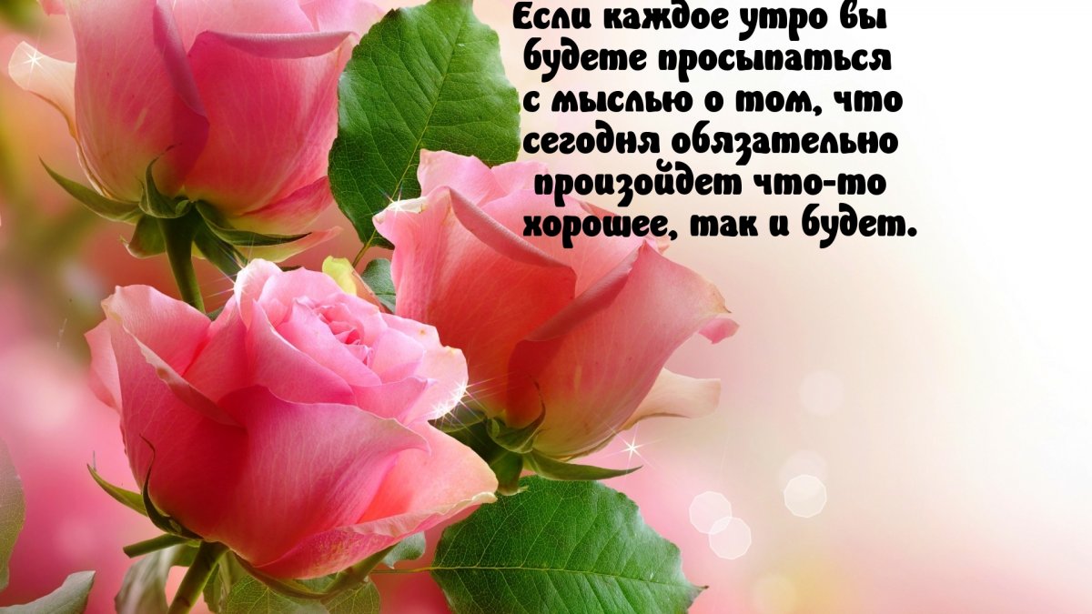 Доброе утро Светик