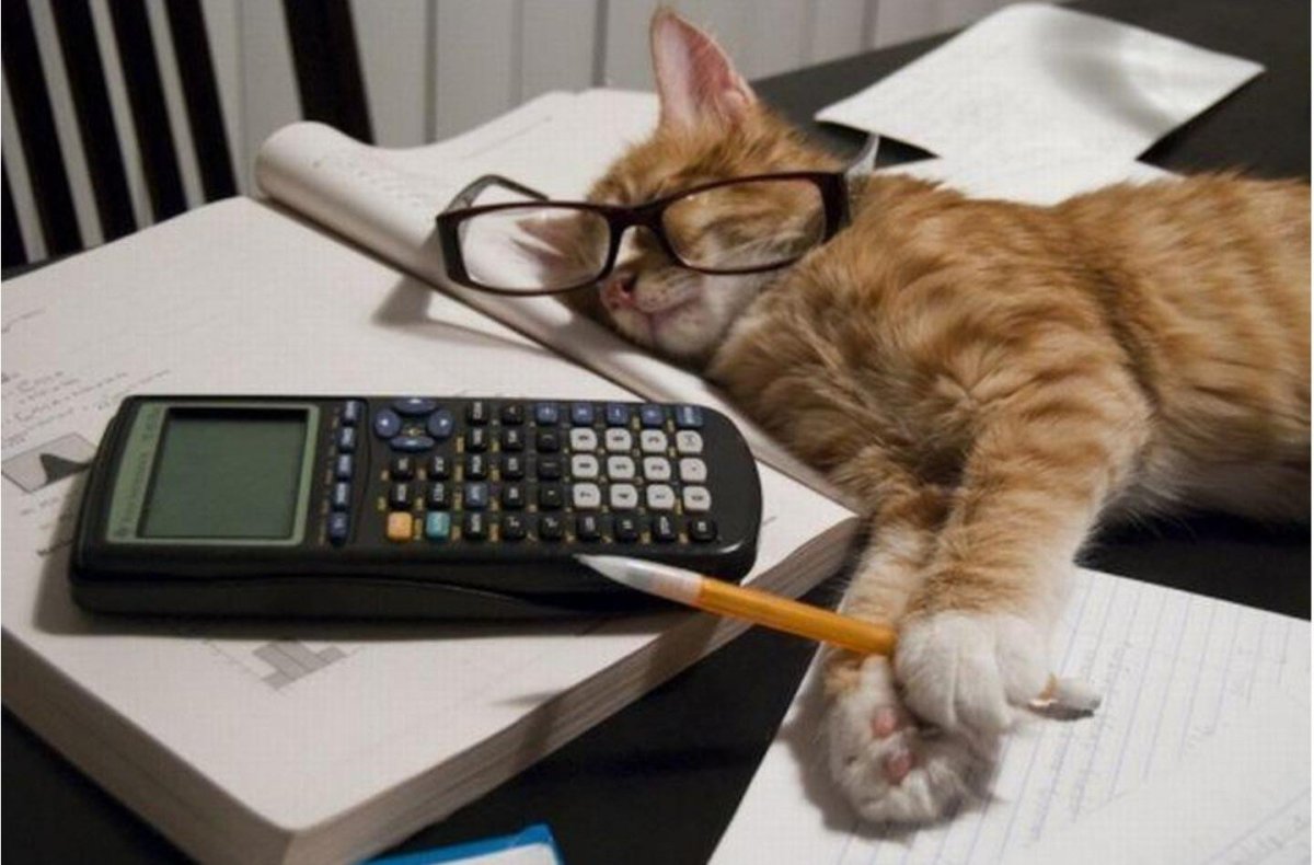 Девушка в офисе пин ап