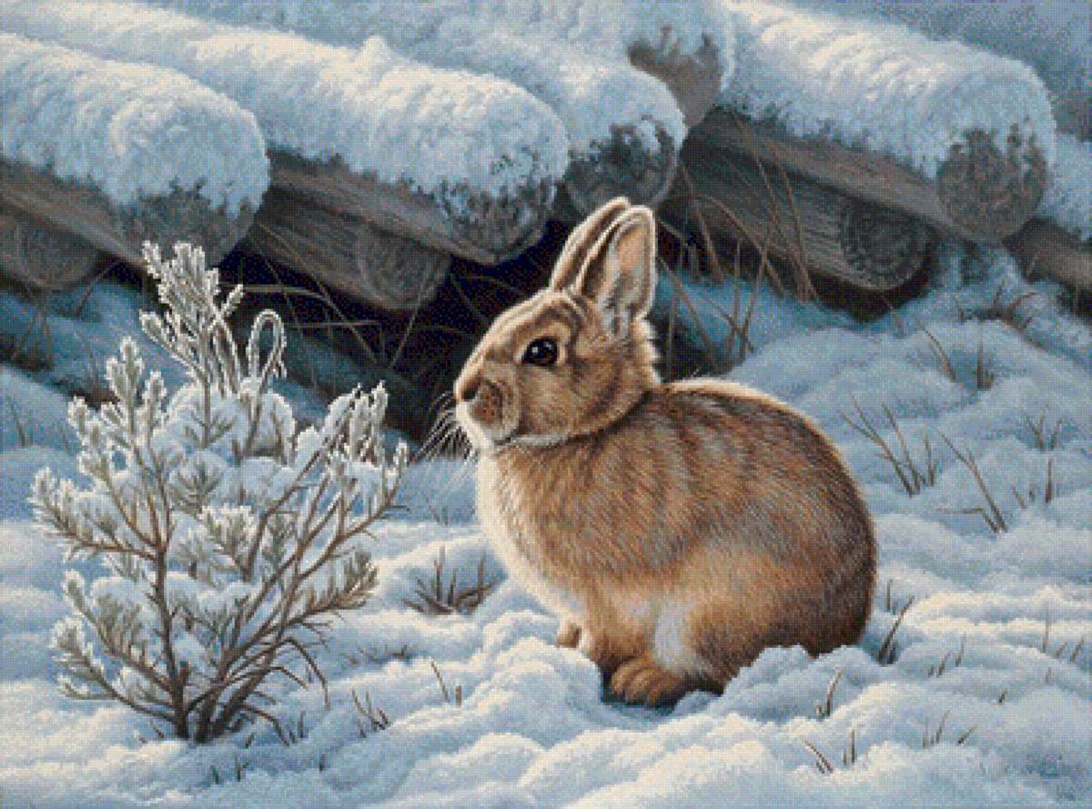 Художник Paul Krapf.