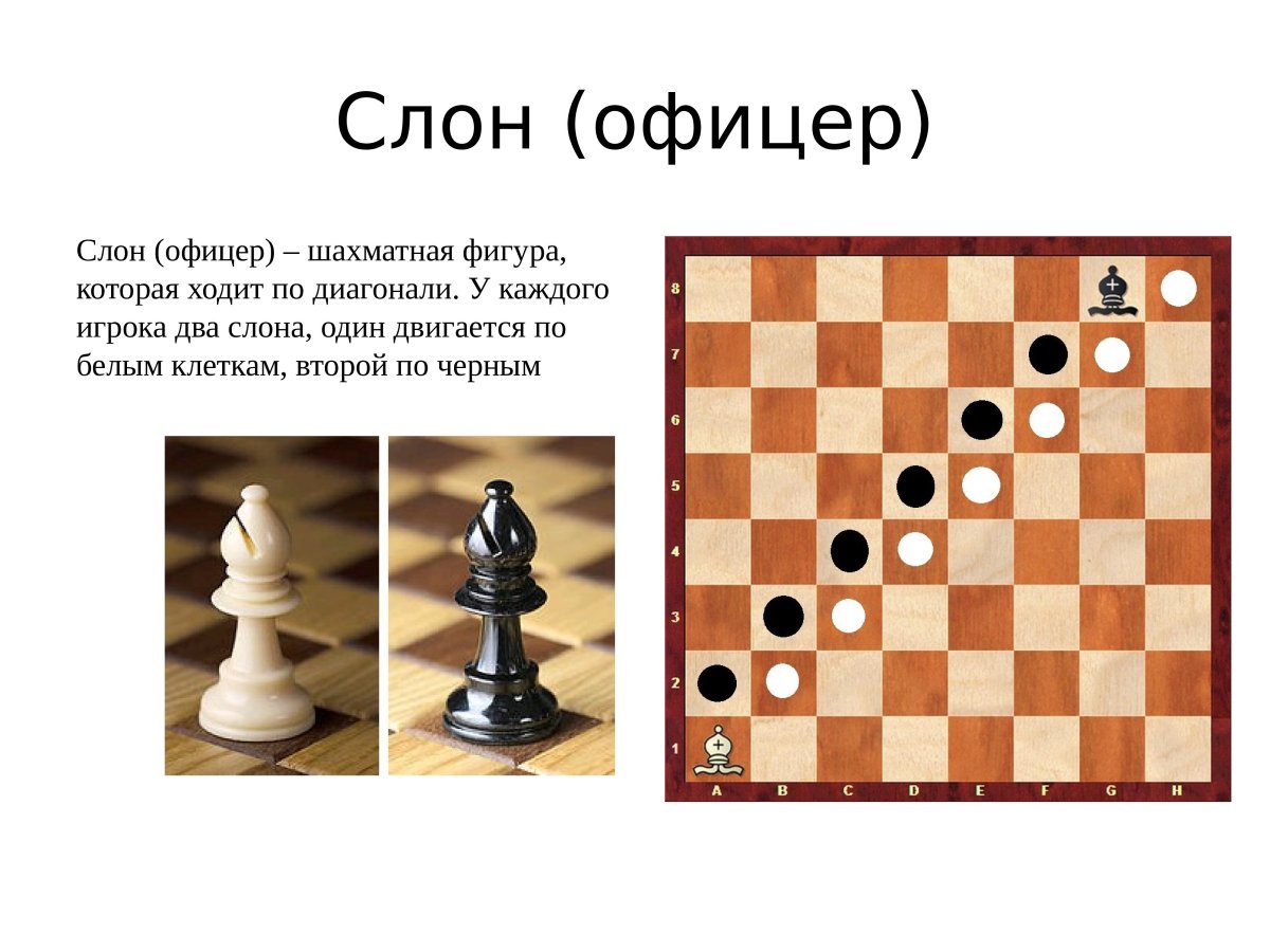 Расстановка шахматных фигур ферзь