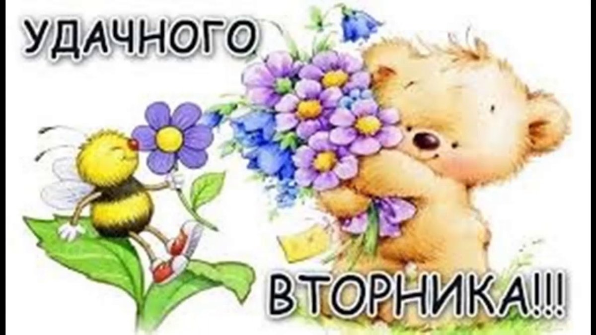 Открытки со вторником прикольные
