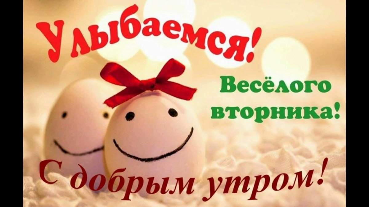 Цитаты про вторник смешные