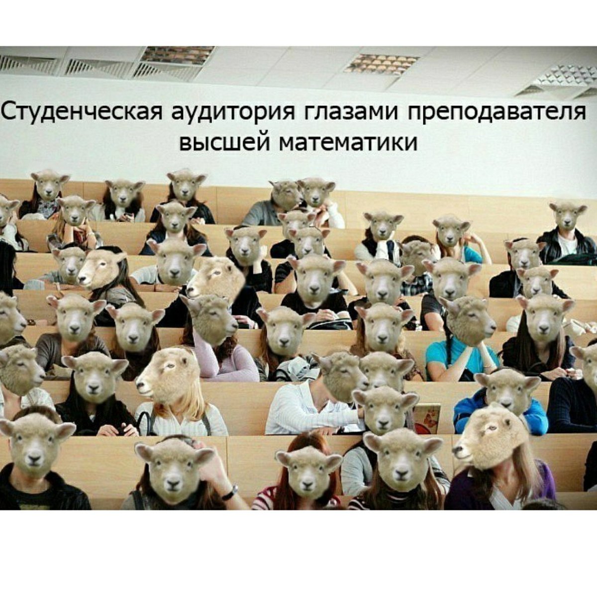 Студенты глазами преподавателя