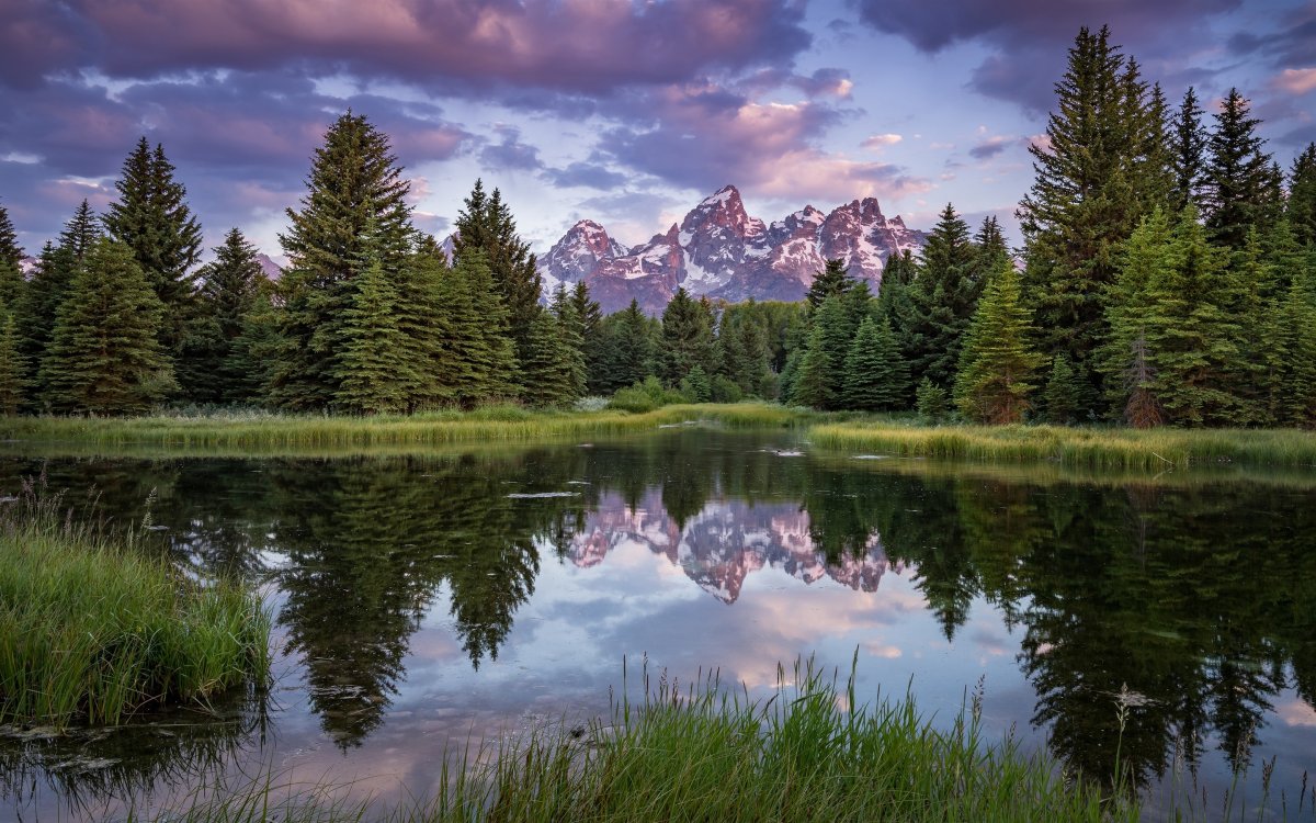 Пейзаж Лесное озеро
