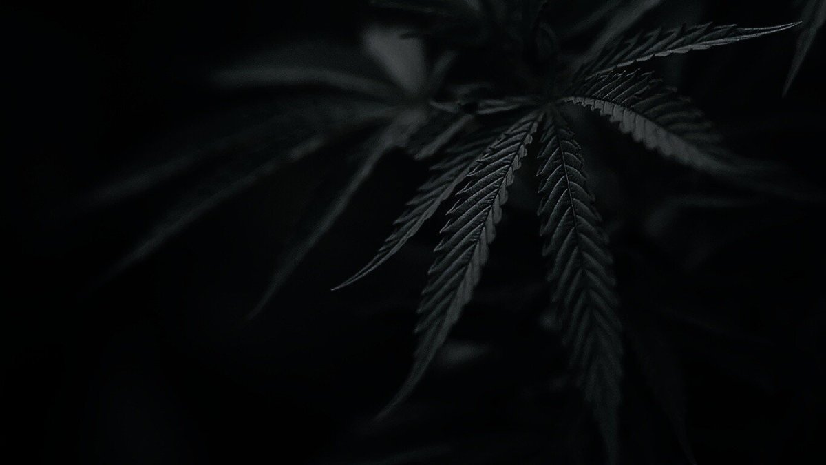 Черная заставка на рабочий стол