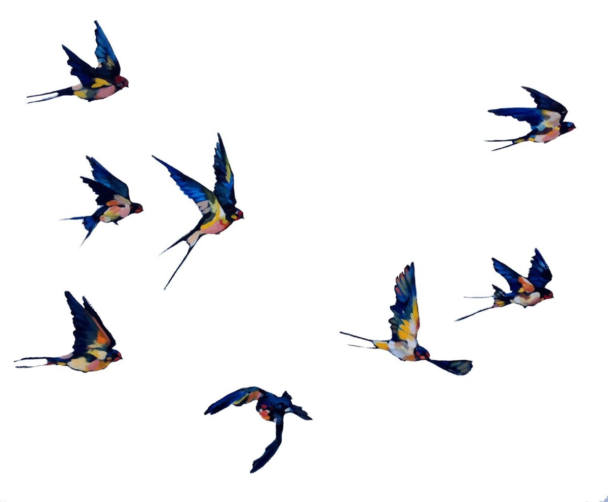 Птица в полете