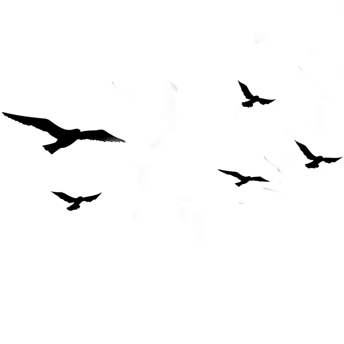 Силуэты птиц на белом фоне