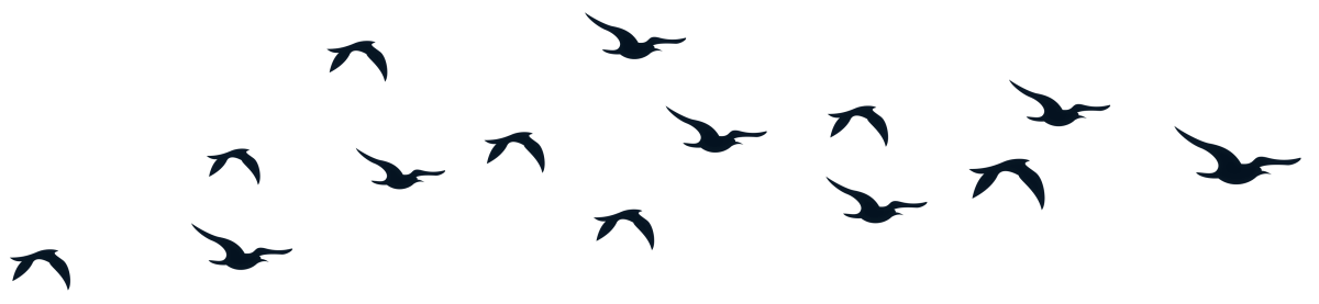 Силуэт летящей птицы