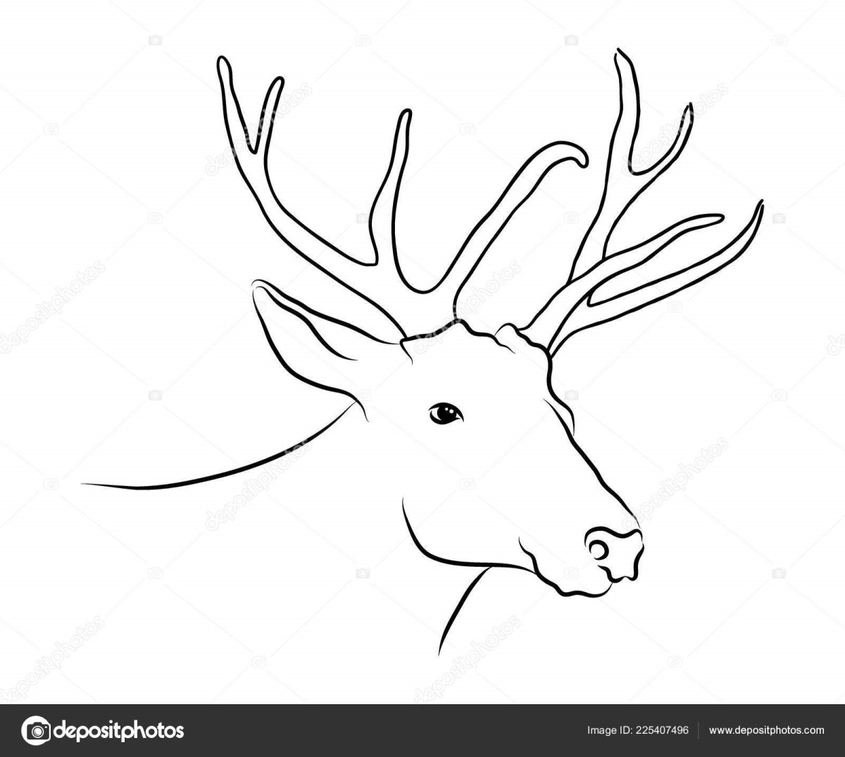 Голова оленя сбоку