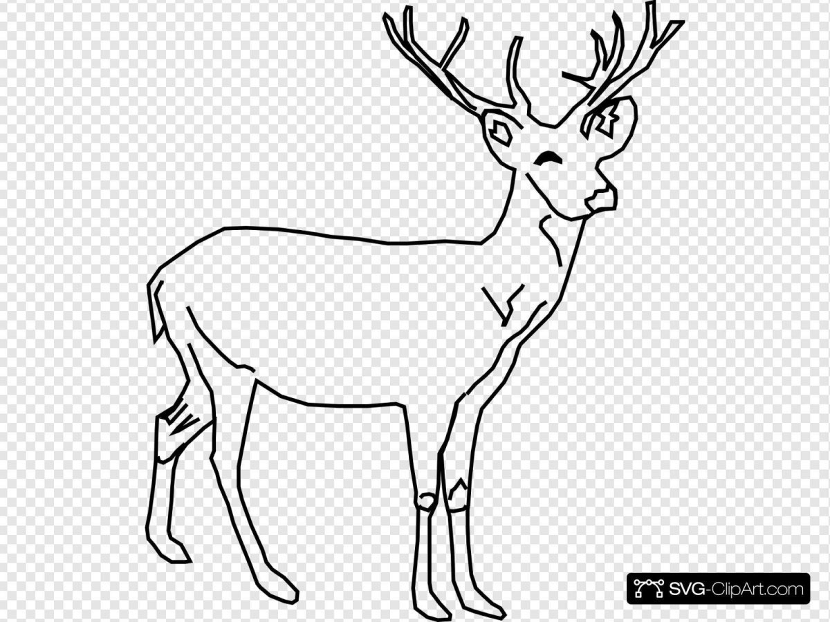 Олень для срисовки