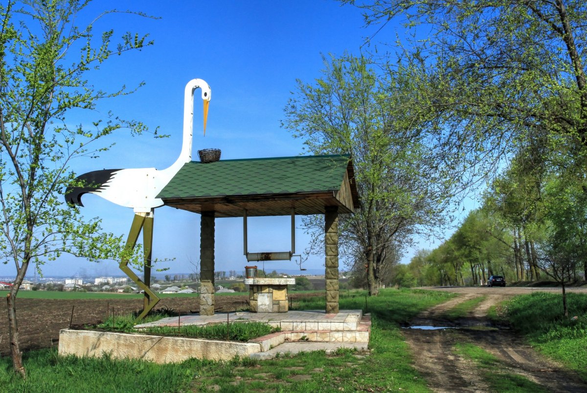 Колодец журавль картина