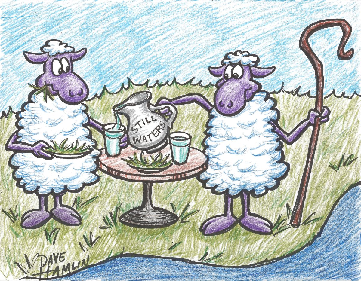 Овца смешная