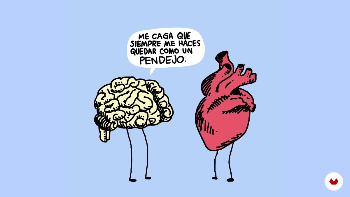 Мозг вектор левое и правое