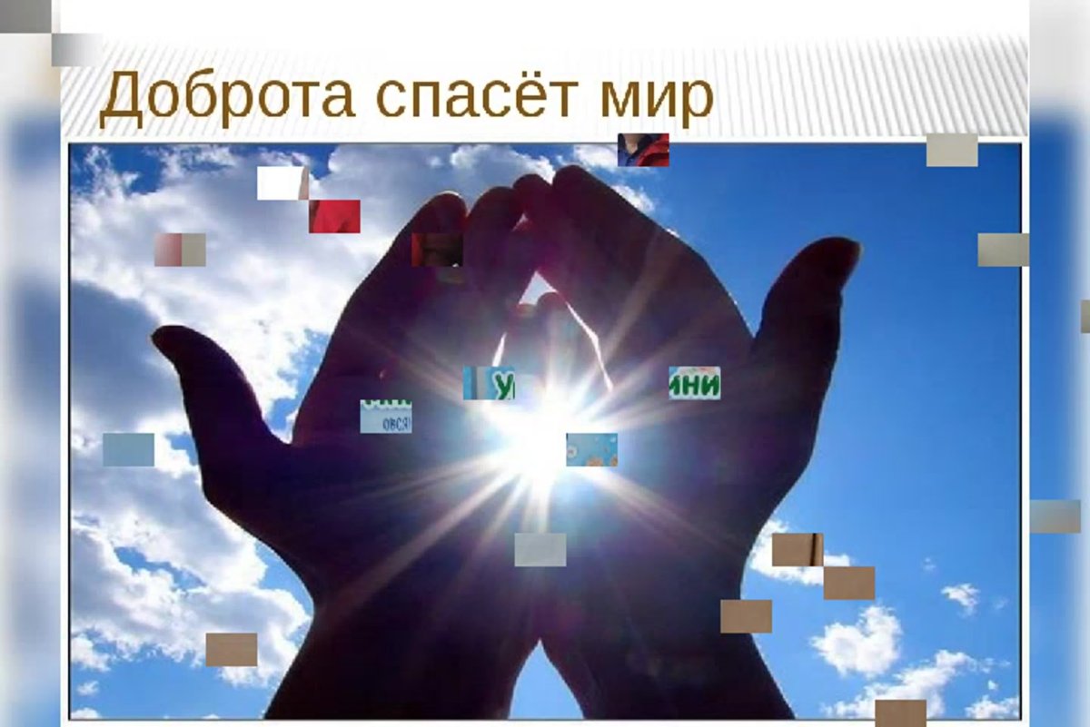 Добрые поступки людей