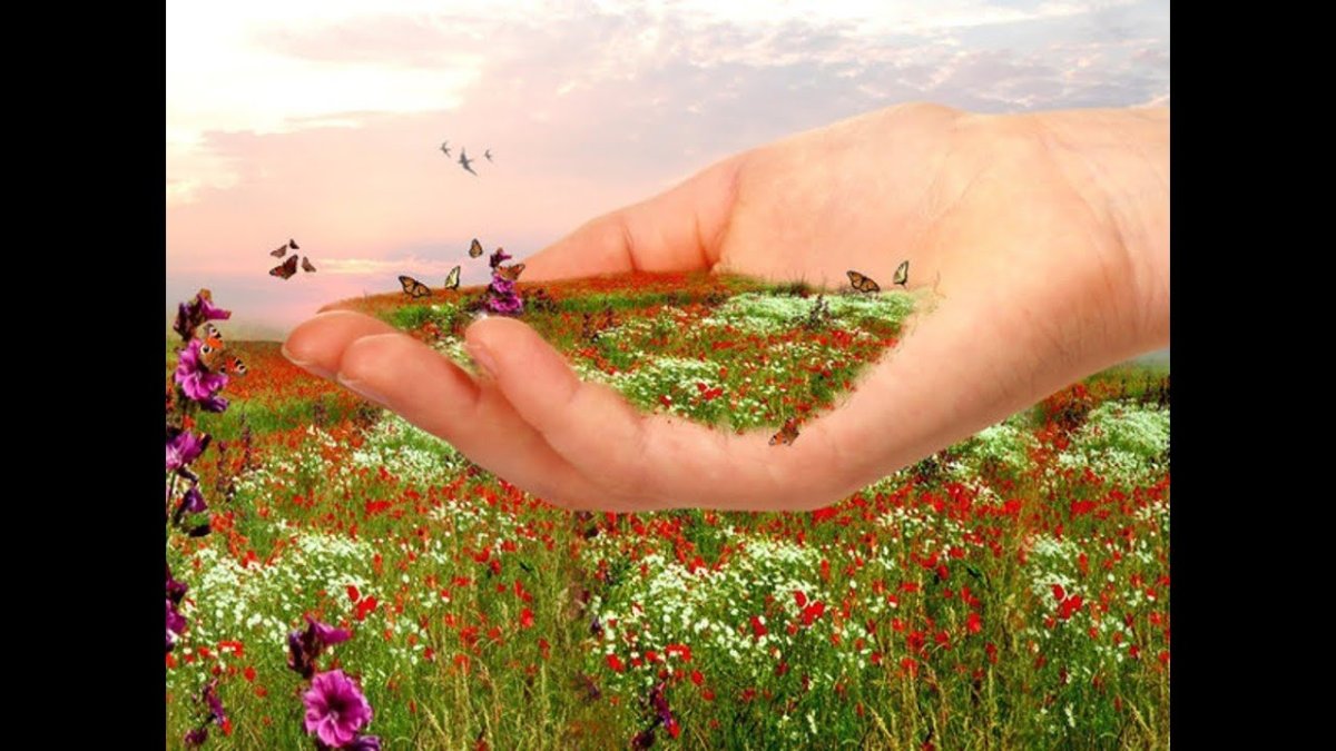 Бедные бездомные коты