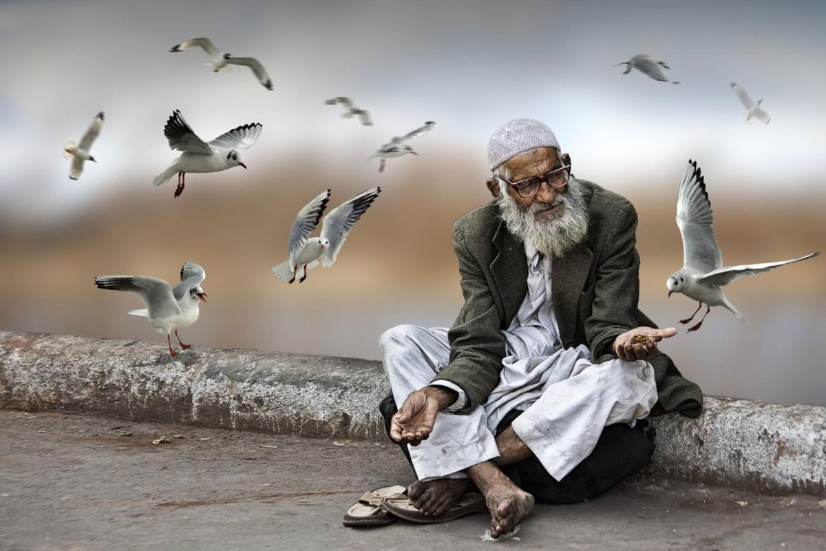 Нежность в ладонях