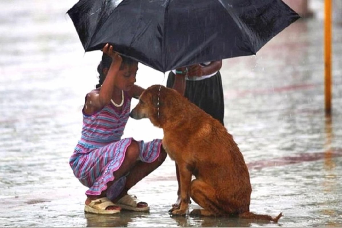 Дарю вам счастье