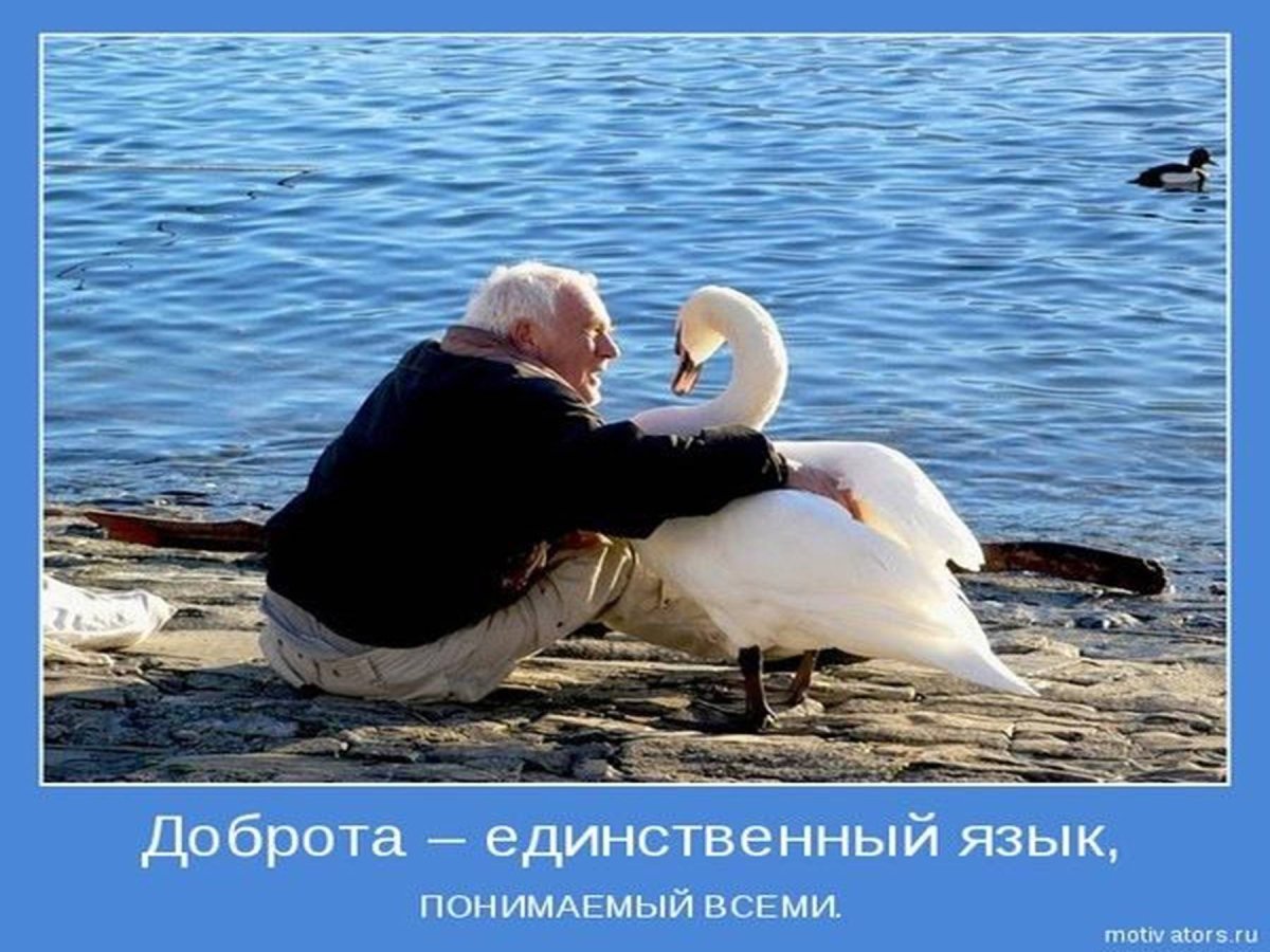 Обиженный Ангелочек