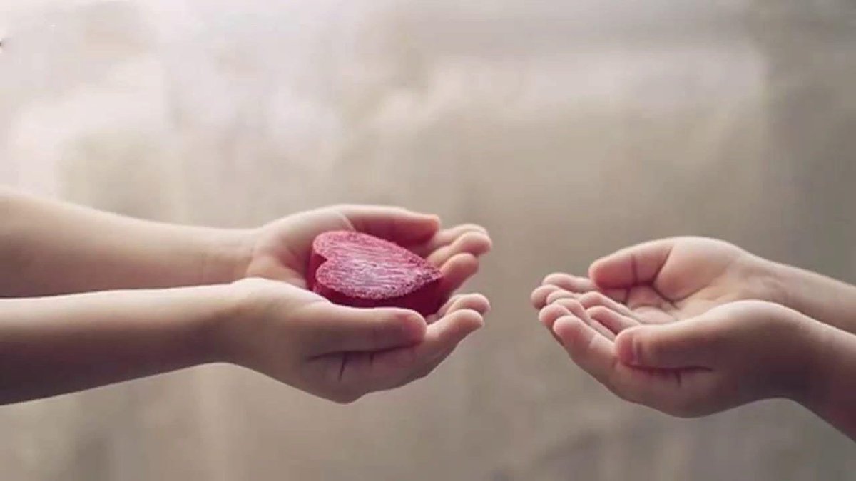 Солнце в ладошках