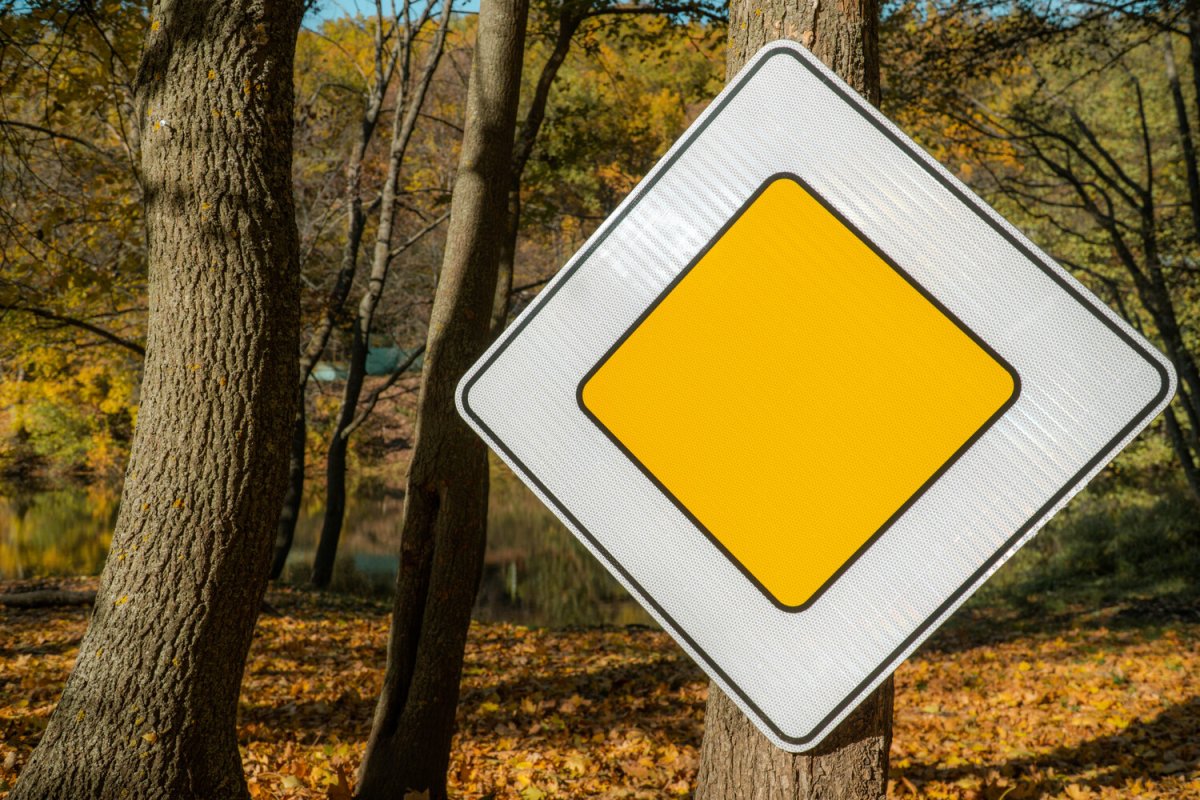 Знак 2.1 Главная дорога