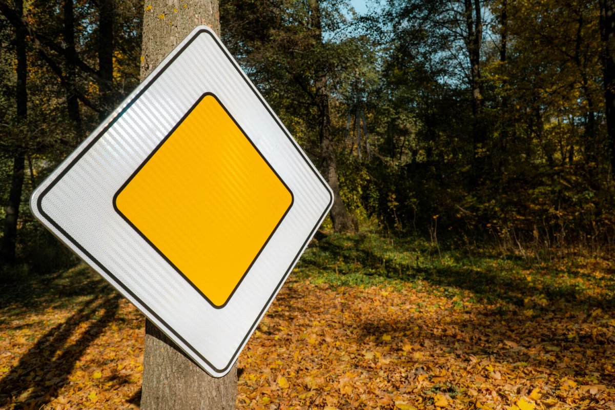 Знак Главная дорога