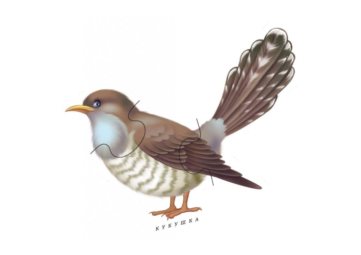 Воробей для детей