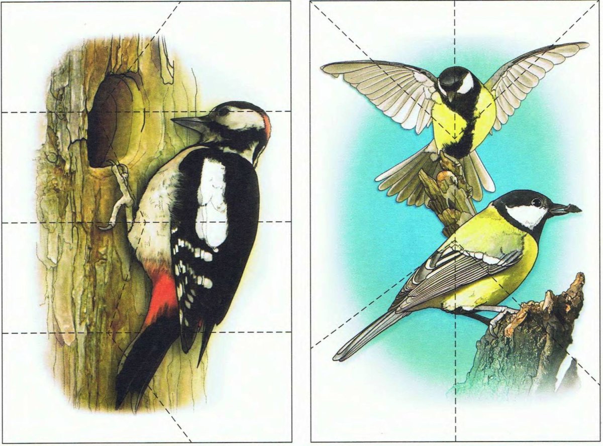 Зимующие птицы пазлы для детей