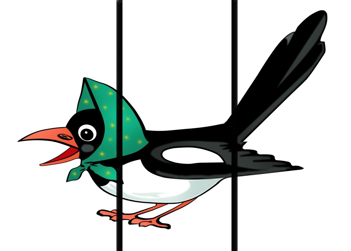 Дидактический материал птицы