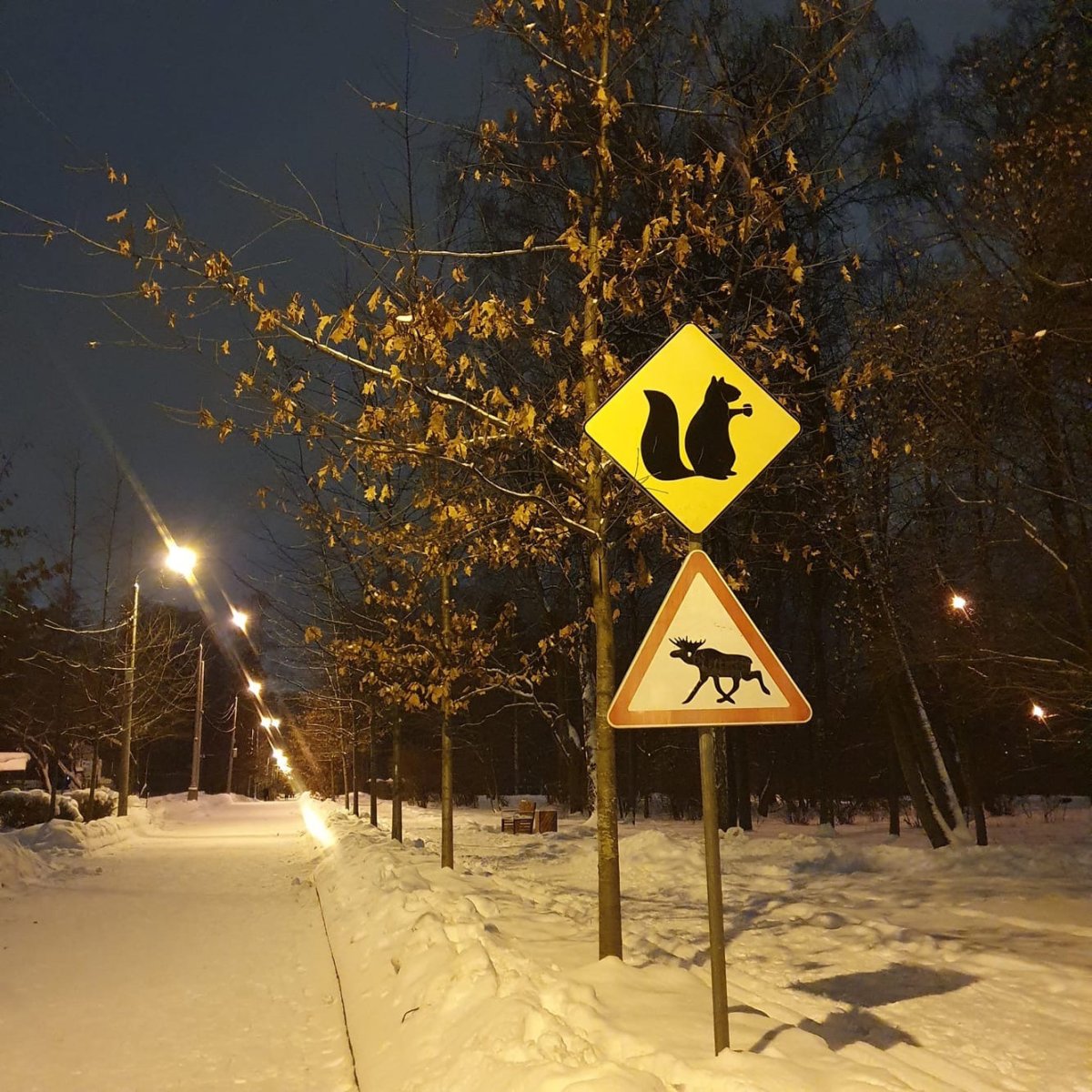 Знак Главная дорога