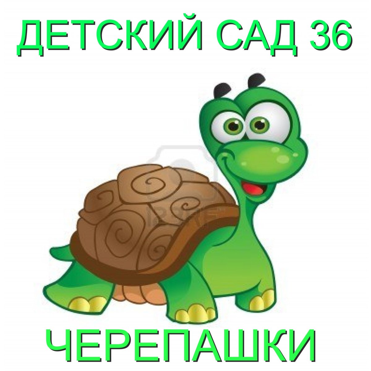 Мультяшная черепаха на белом фоне