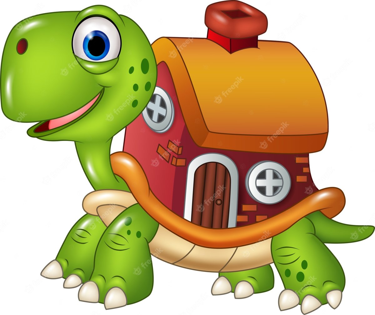 Черепашка в доме