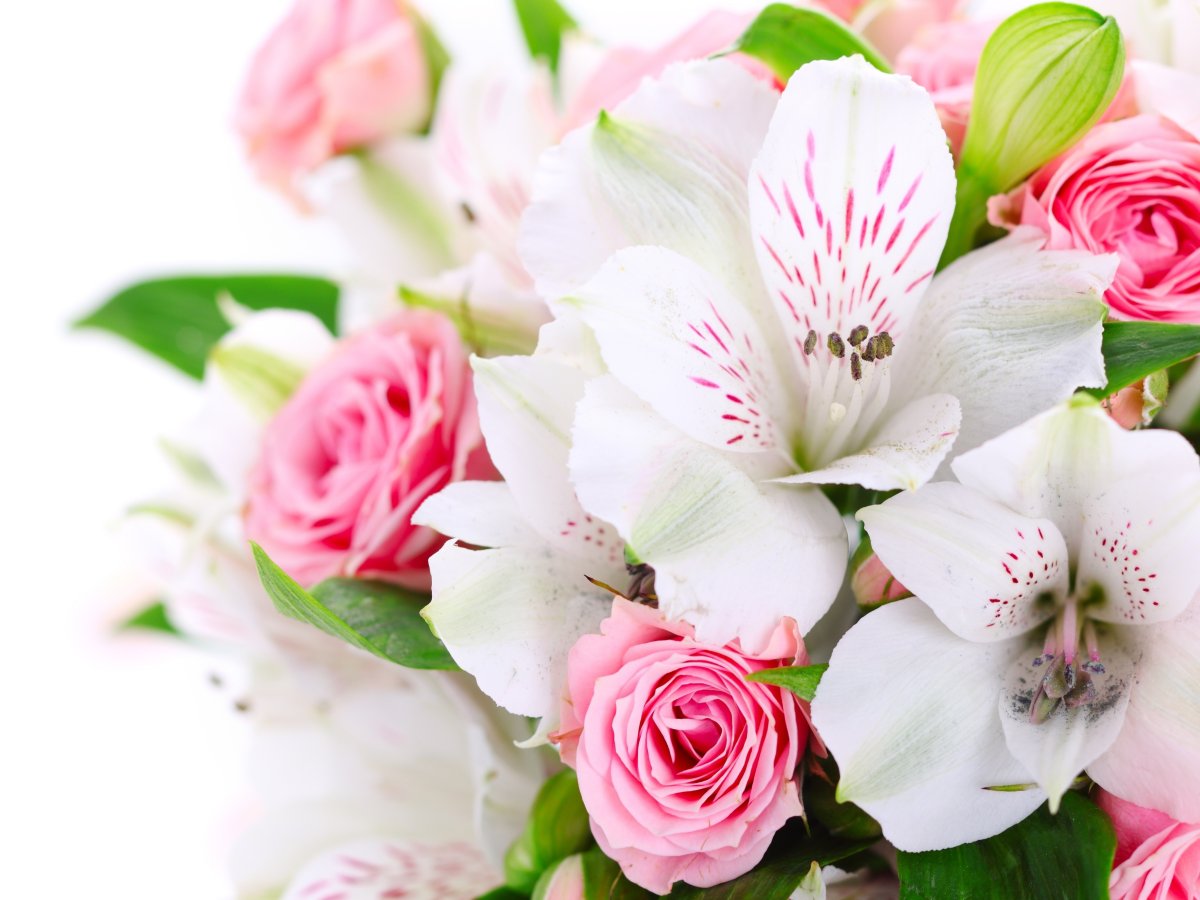 Фон цветы панорама