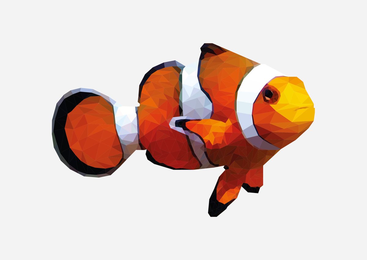 Анемоновая рыбка клоун