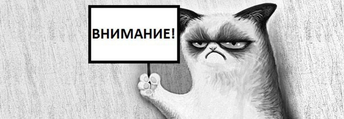 С добрым утром прикольные