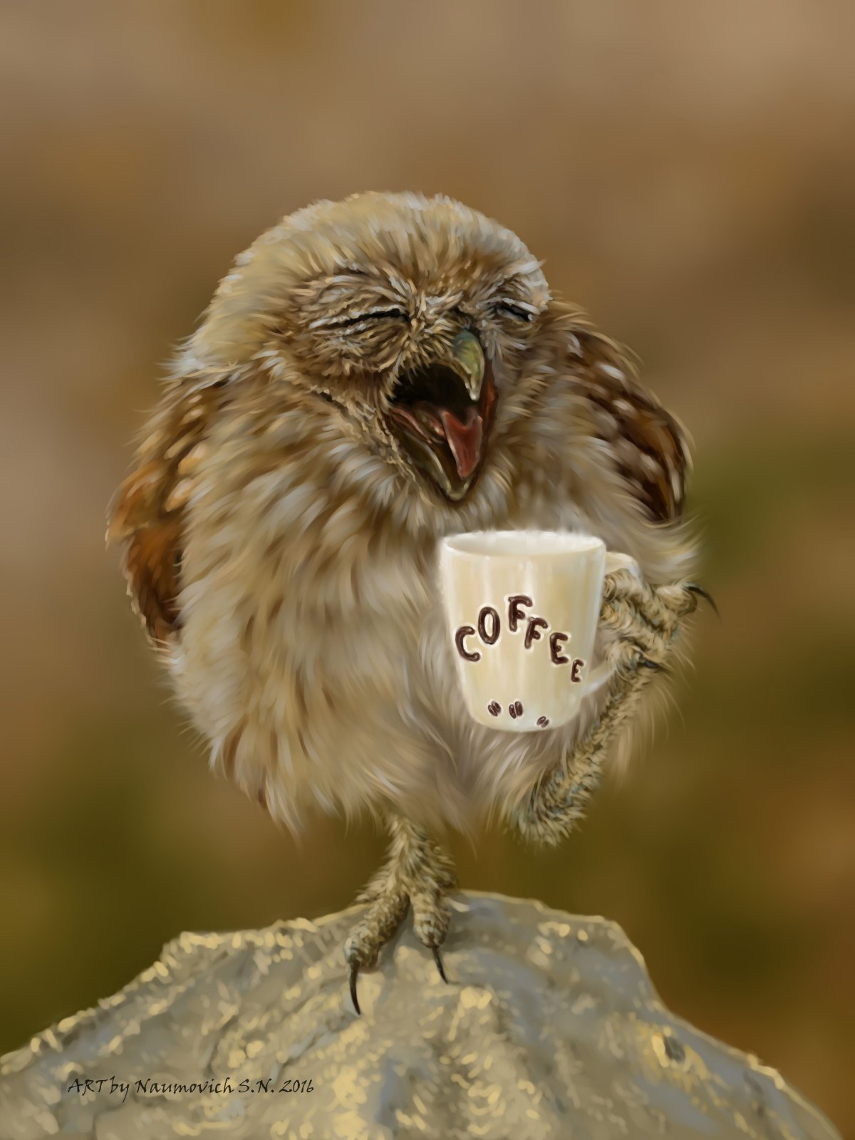 Сонная Сова