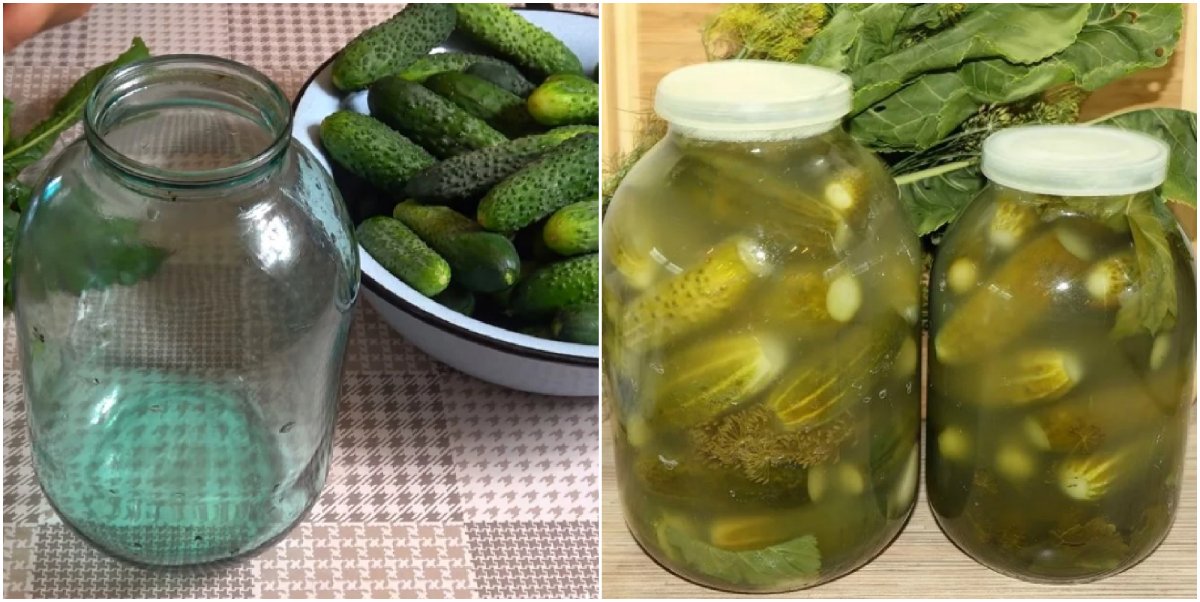 Огурцы малосольные корнишоны