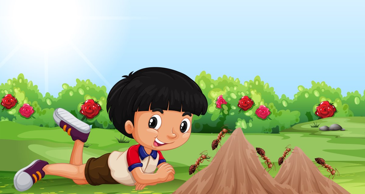 Мальчик муравей