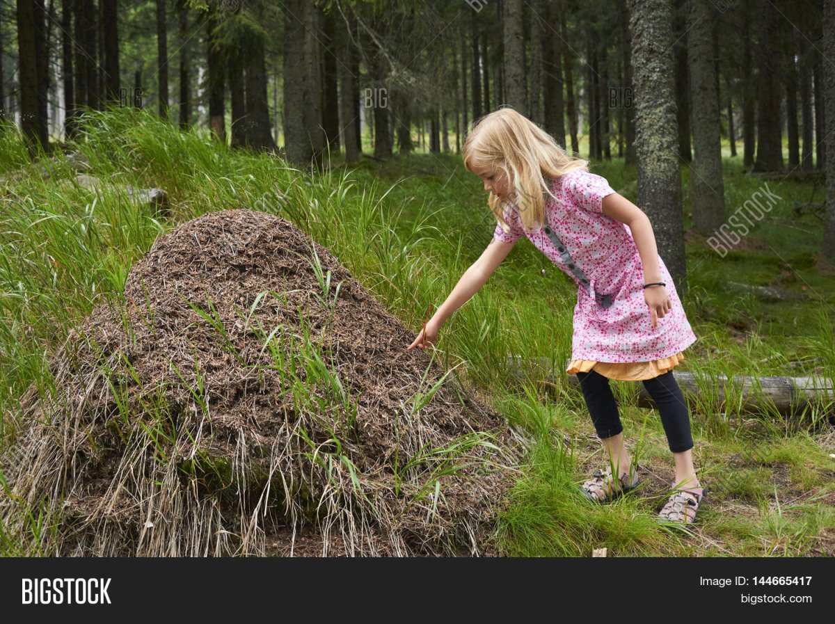 Муравейник для детей
