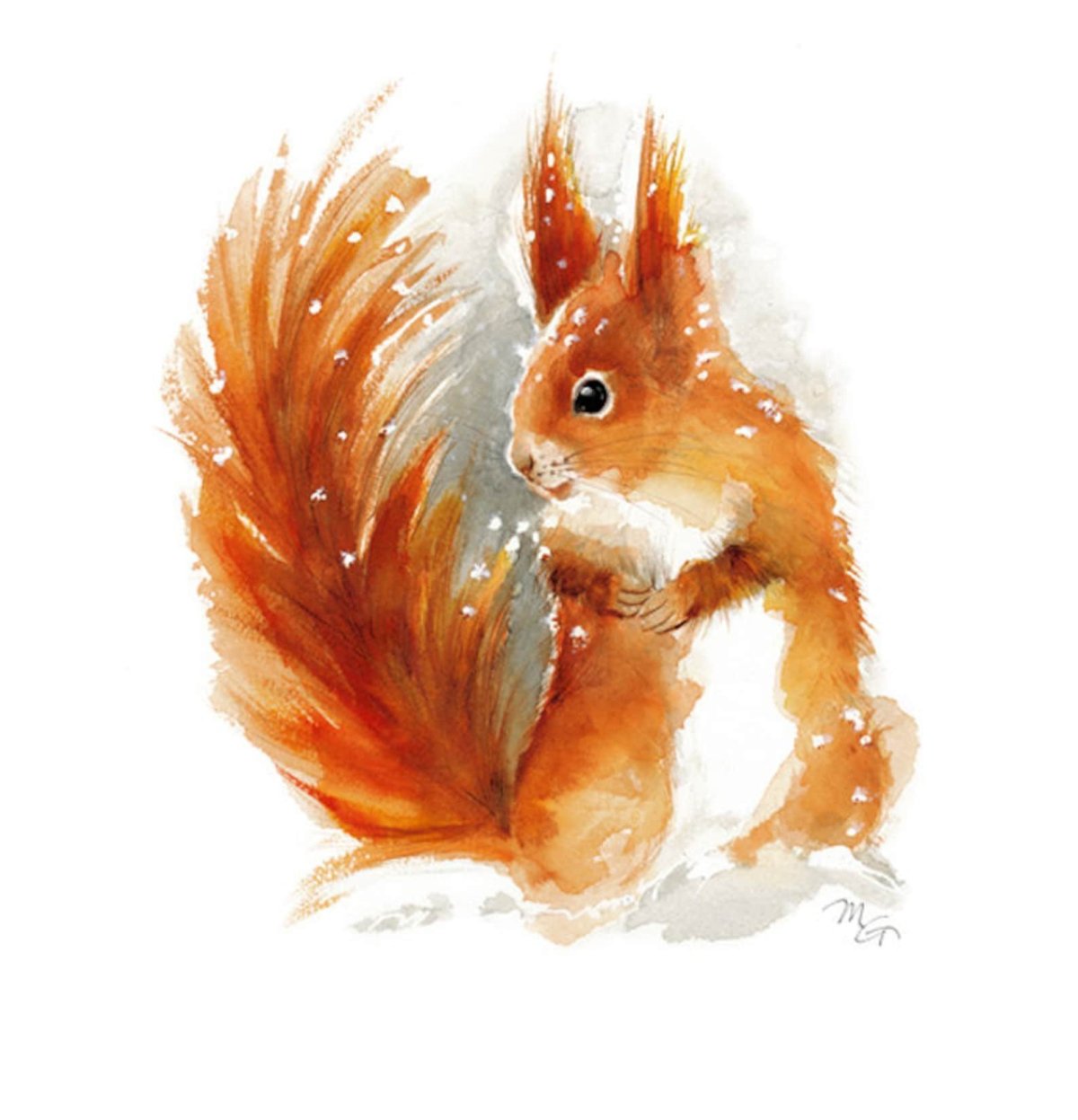 Белочка арт