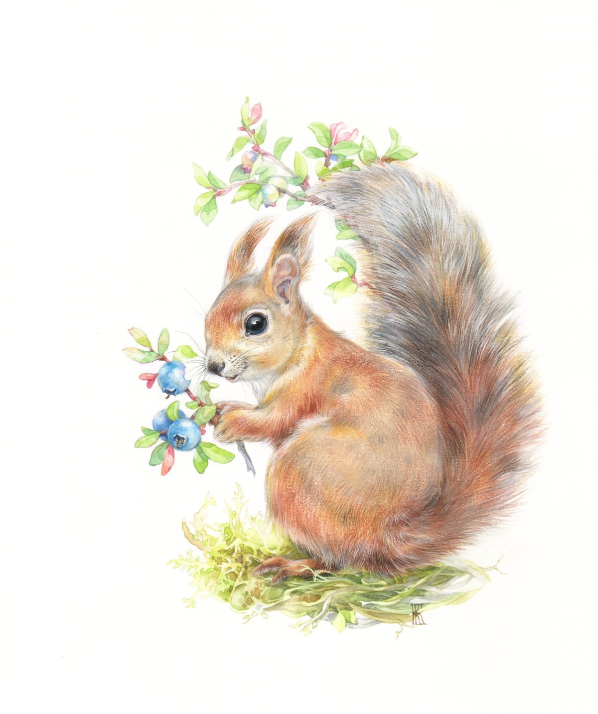 Салфетки белка купить