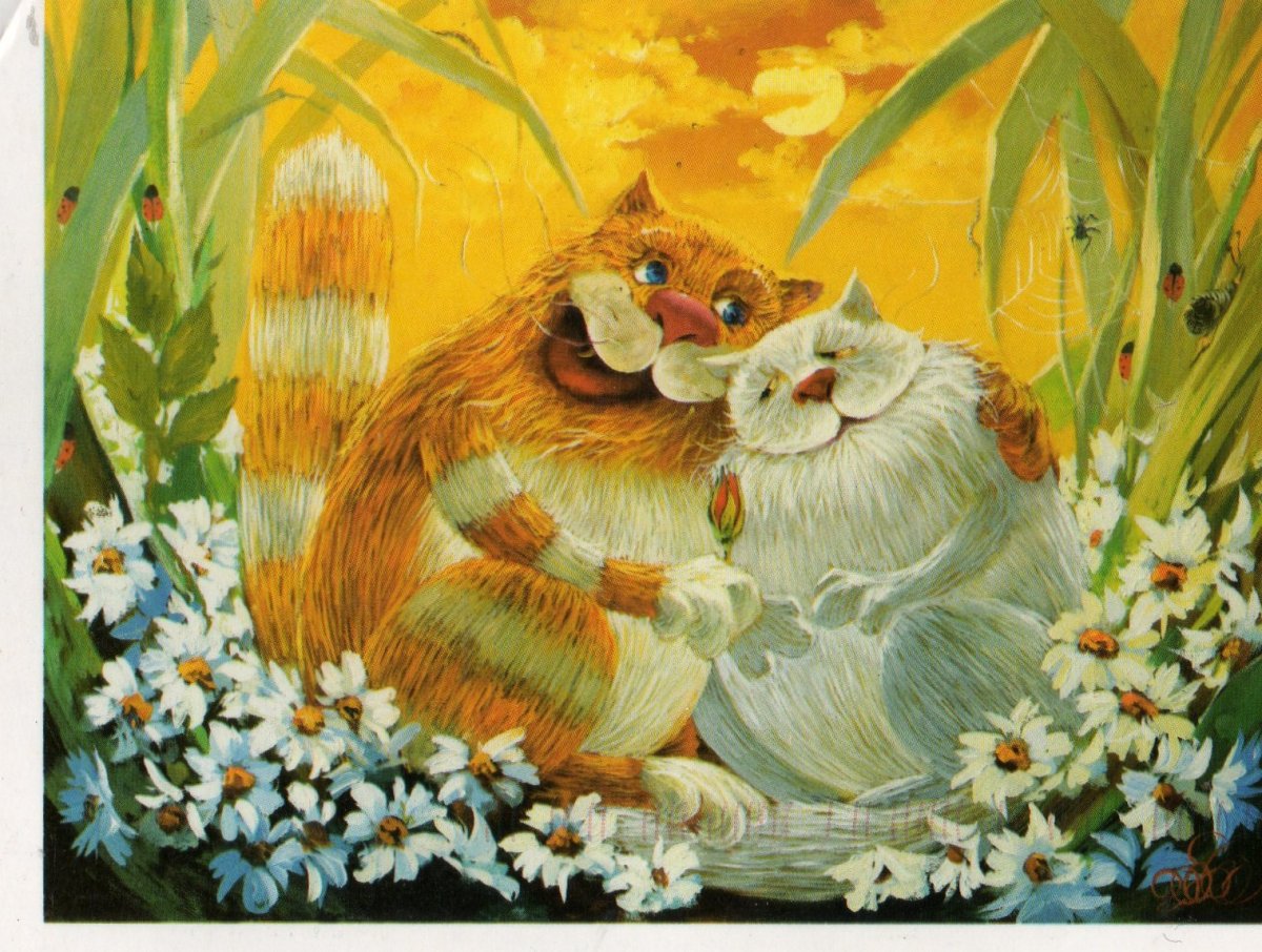 Коты Антона Горбацевичи