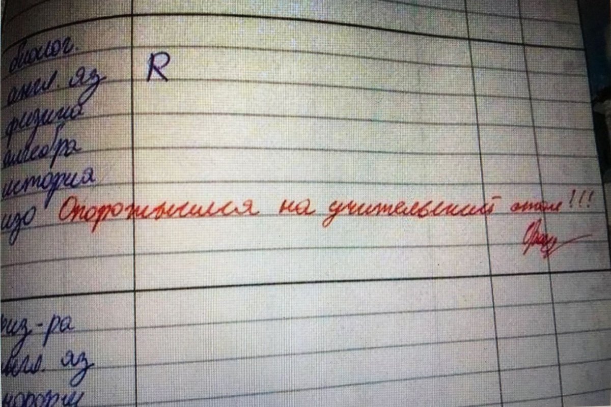 Смешные замечания в дневнике